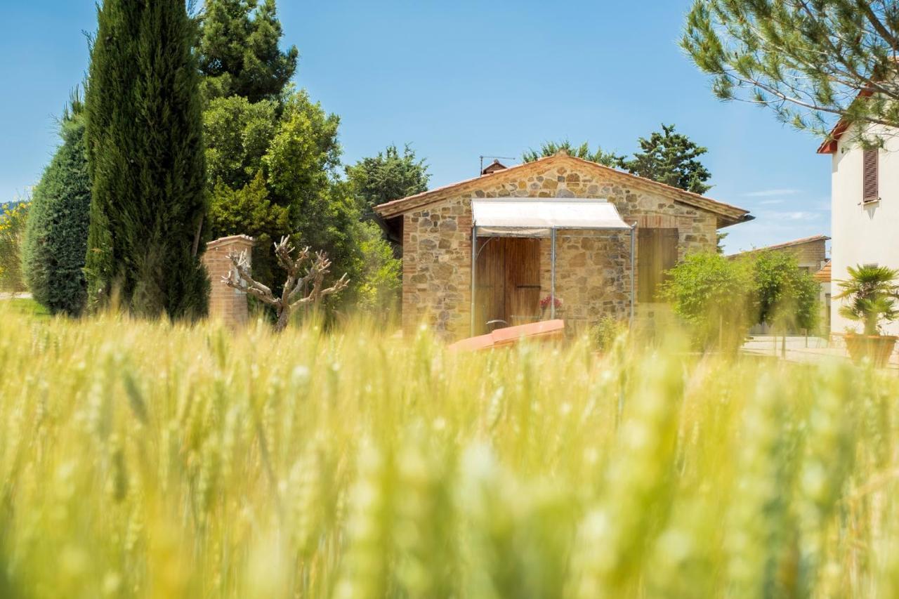 Agriturismo San Marcello Castiglione dʼOrcia Dış mekan fotoğraf