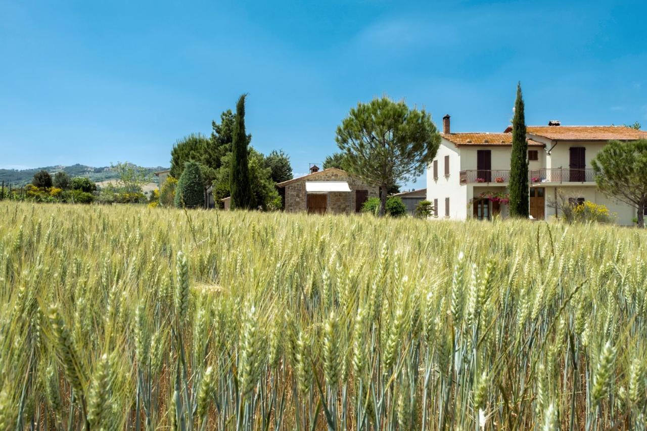 Agriturismo San Marcello Castiglione dʼOrcia Dış mekan fotoğraf