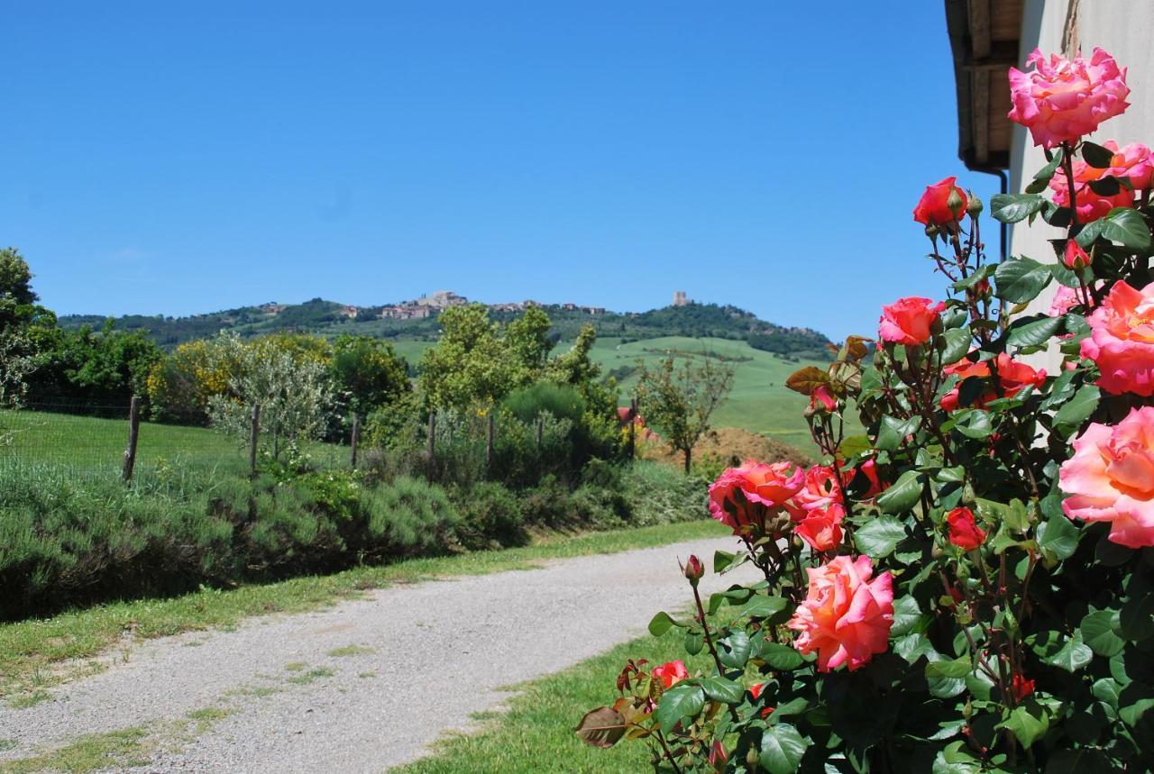 Agriturismo San Marcello Castiglione dʼOrcia Dış mekan fotoğraf